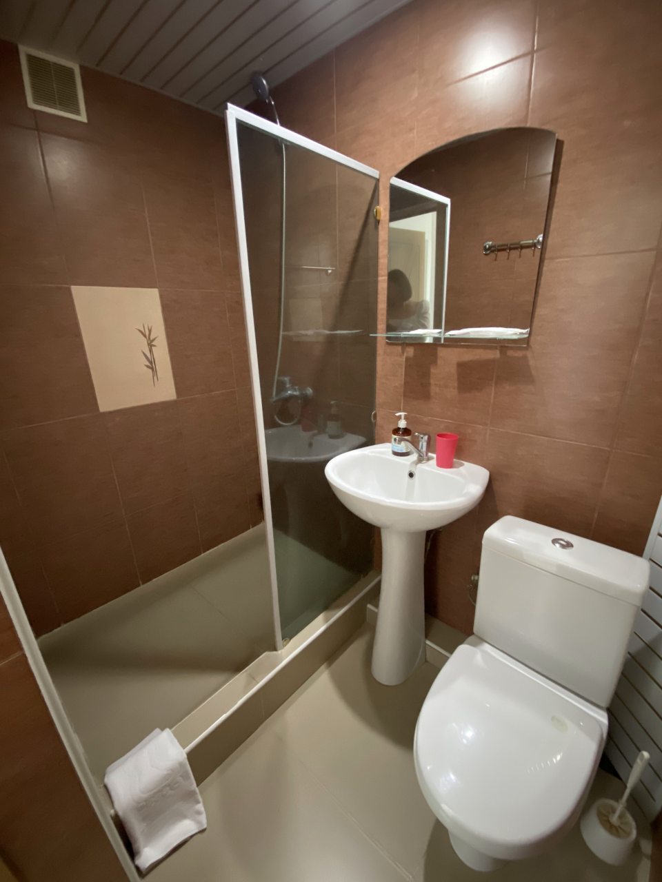 Одноместный (Одноместный Стандарт), Гостиница Дружба