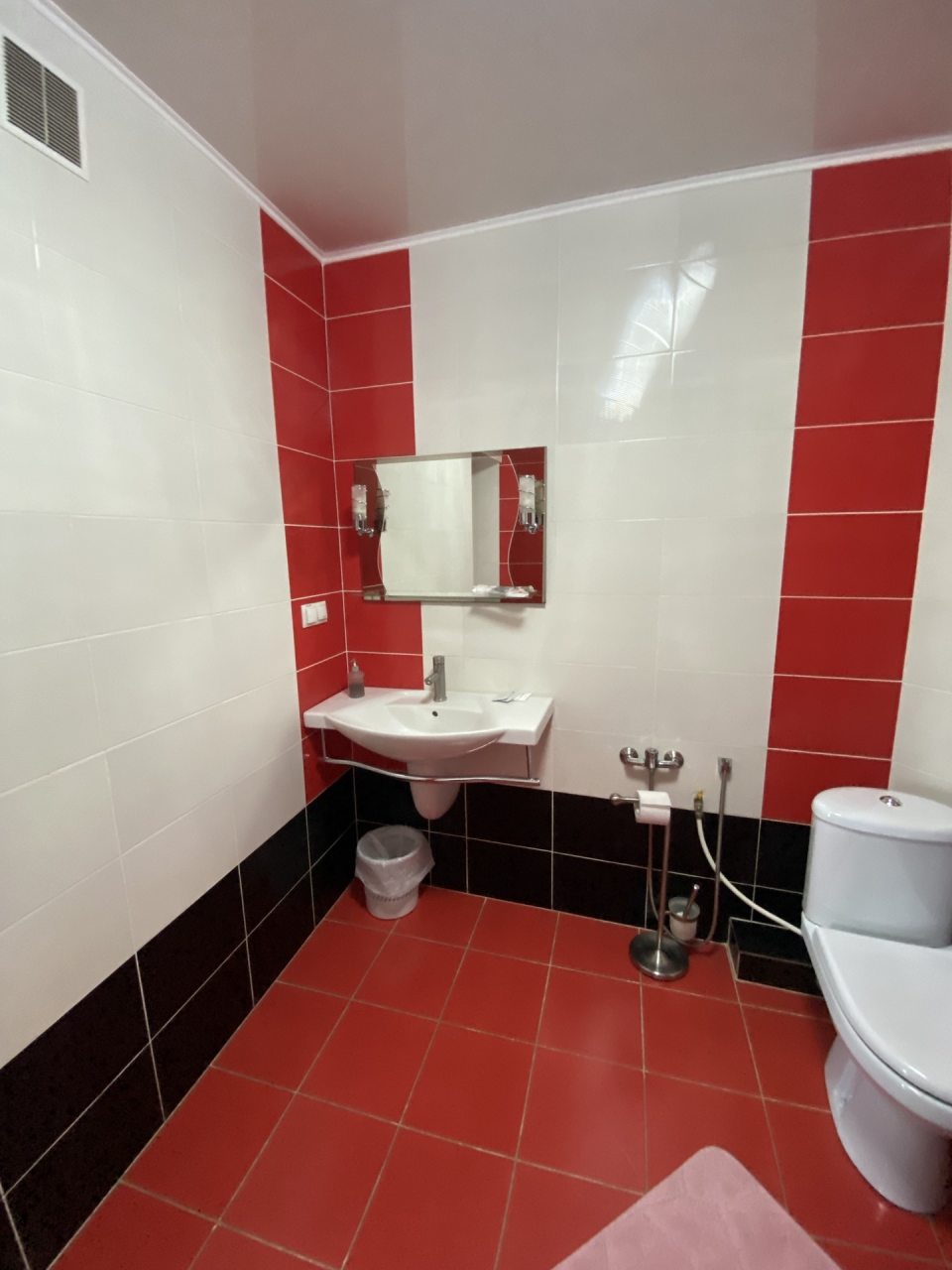 Люкс (Люкс), Гостиница Дружба