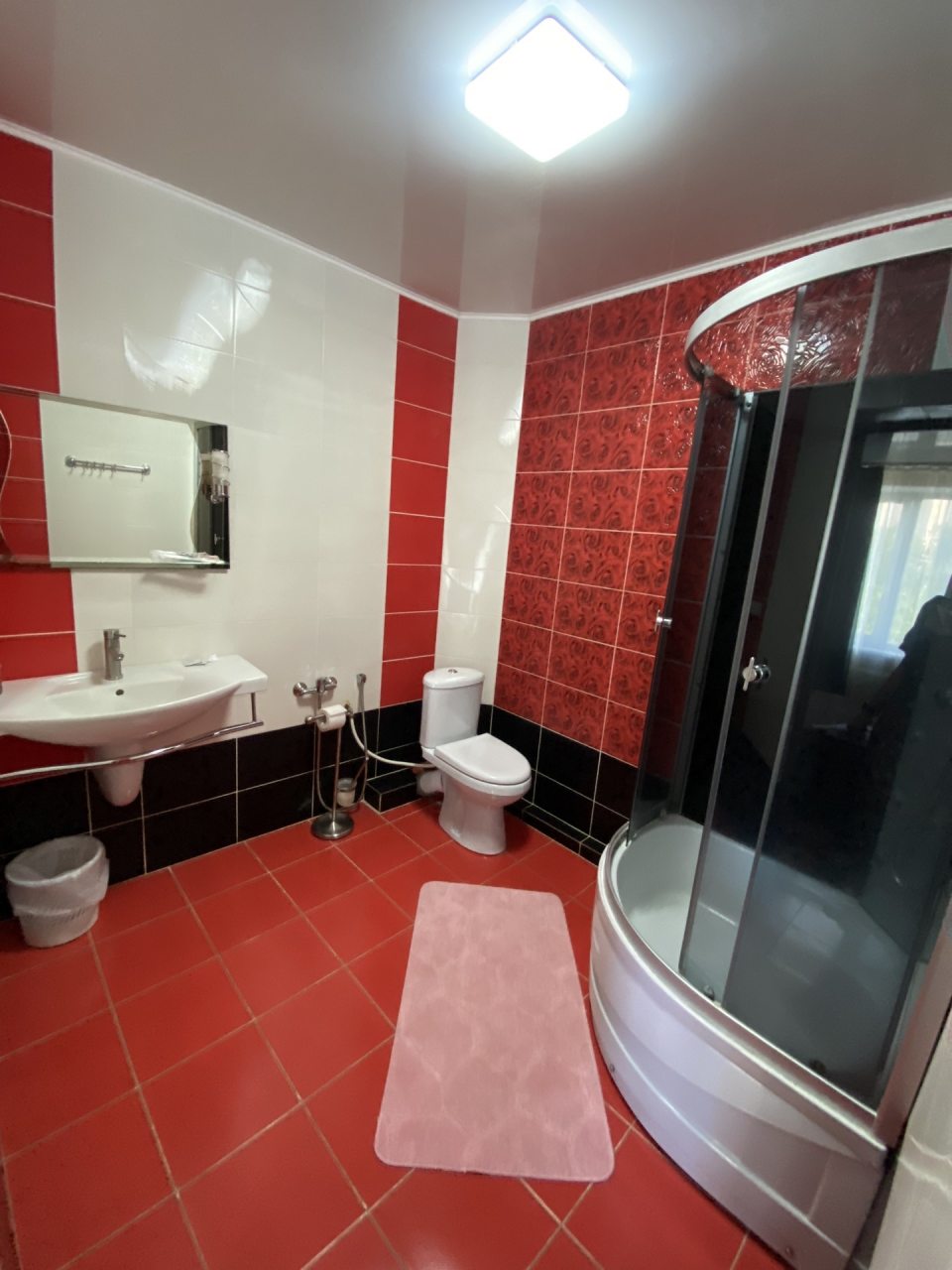 Люкс (Люкс), Гостиница Дружба