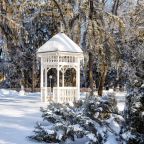 Зимнее фото