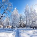 Зимний пейзаж