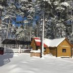 Номер (Дом с 1 спальней), Уютный домик в сосновом лесу