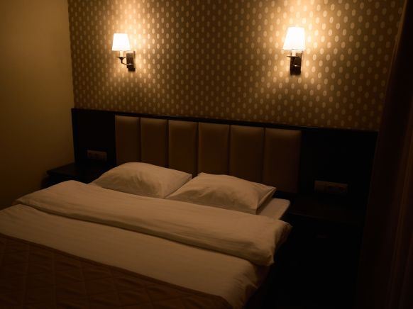 Фотография номера гостиницы Родина