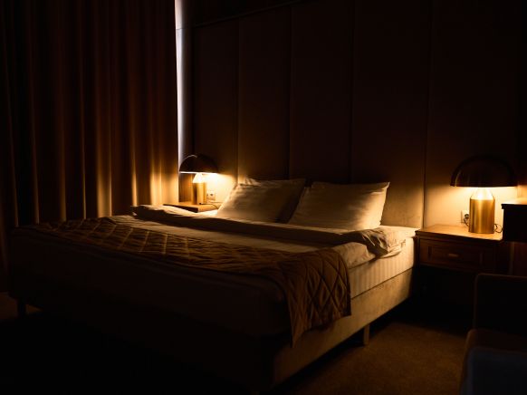 Фотография номера гостиницы Родина