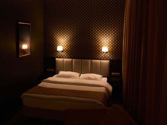 Фотография номера гостиницы Родина