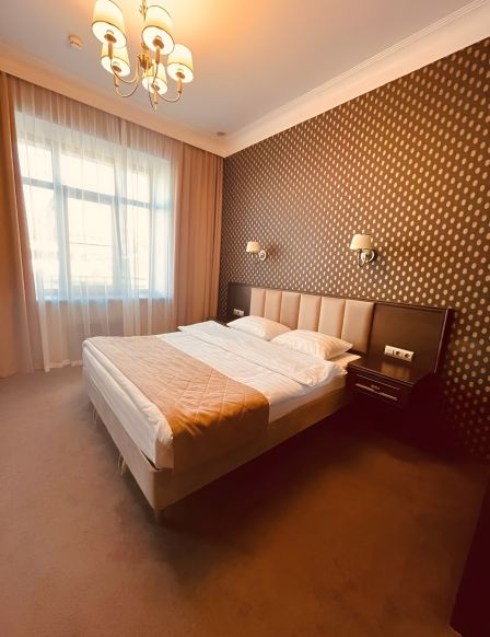 Фотография номера гостиницы Родина