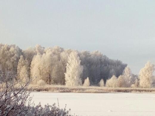 Номер (Шале с 2 спальнями), Шале ТИХАЯ ЗАВОДЬ