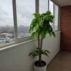 Квартира (Paris Апартаменты для 4х в Новом доме (Фрунзе 49)), Мини-отель Welcome Apartment