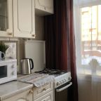 Квартира (Квартира Геодезическая, 5), Апартаменты Welcome Apartment