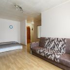 Квартира (Welcome Apartment Превосходные апартаменты у метро, парковка, НГТУ (Карла Маркса, 39), Апартаменты Welcome Apartment