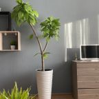 Восьмиместный (Airy bliss Двухкомнатные апартаменты для 8х (Добролюбова 18/1)), Апартаменты Welcome Apartment