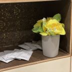 Квартира (Silver Уютные апартаменты для 6х (Красный проспект 155)), Апартаменты Welcome Apartment