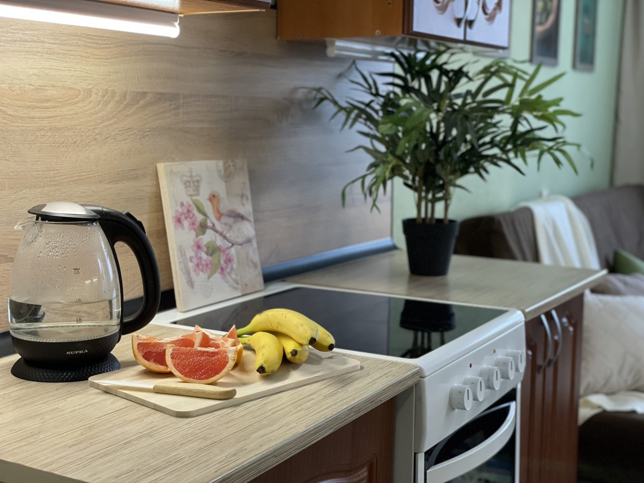 Шестиместный (Business Apartments (Добролюбова 18/1)), Апартаменты Welcome Apartment