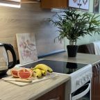 Шестиместный (Business Apartments (Добролюбова 18/1)), Апартаменты Welcome Apartment