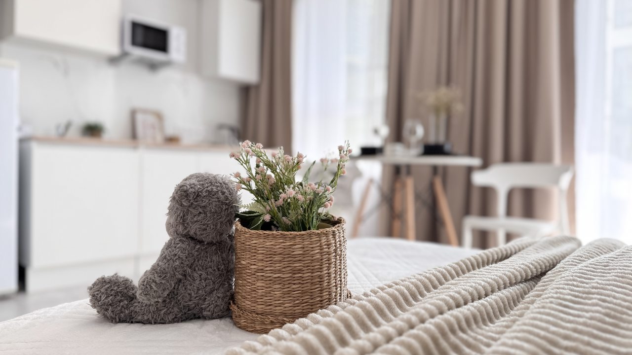 Апартаменты (На Ясном берегу 43), Апартаменты Welcome Apartment