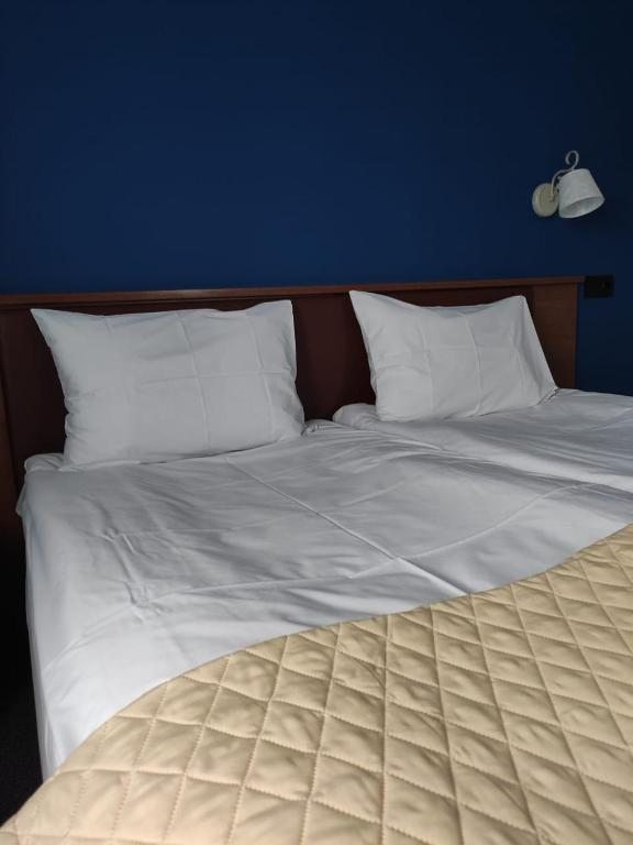 Двухместный (Двухместный номер с 1 кроватью или 2 отдельными кроватями и хорошим видом) отеля Рубеж, Ошта