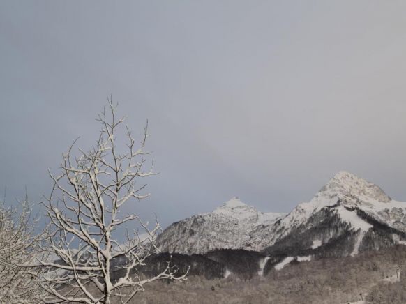 Гостевой дом Fairy House