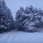 Номер (Дом для отпуска), Дом для отпуска Holiday home Elk