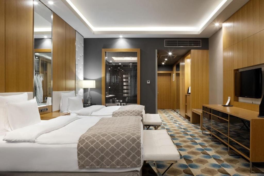 Двухместный (Улучшенный двухместный номер с 2 отдельными кроватями и видом на горы) отеля Rixos Krasnaya Polyana Sochi, Эсто-Садок