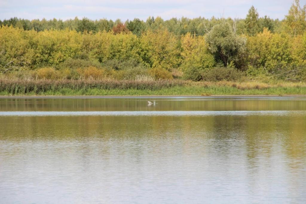 Номер (Дом для отпуска), Отель У озера