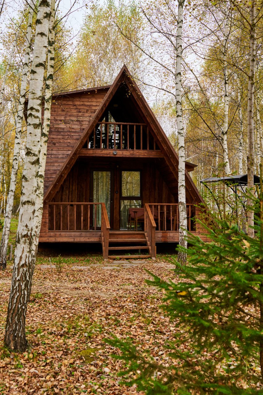 Люкс (Дом №12 категории Люкс с электрокамином и двумя санузлами), База отдыха Алино