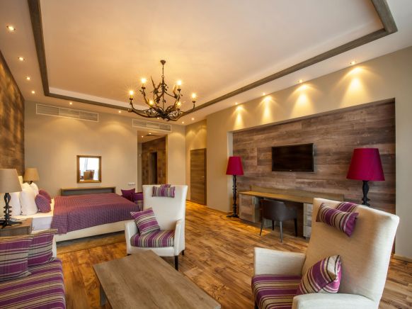 Фотография номера гостиницы Поляна 1389