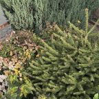 Терраса, Гостевой дом На Фиалковой