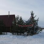 Номер (Дом с 1 спальней), Загородный дом Рублёво