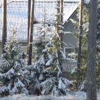 Коттедж (Большой  с сауной  7 спален), Загородный клуб Ромашка