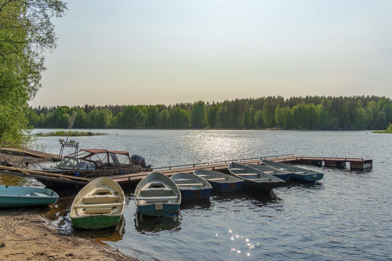 Коттедж (У озера с двумя спальнями 100м2), Загородный клуб Ромашка