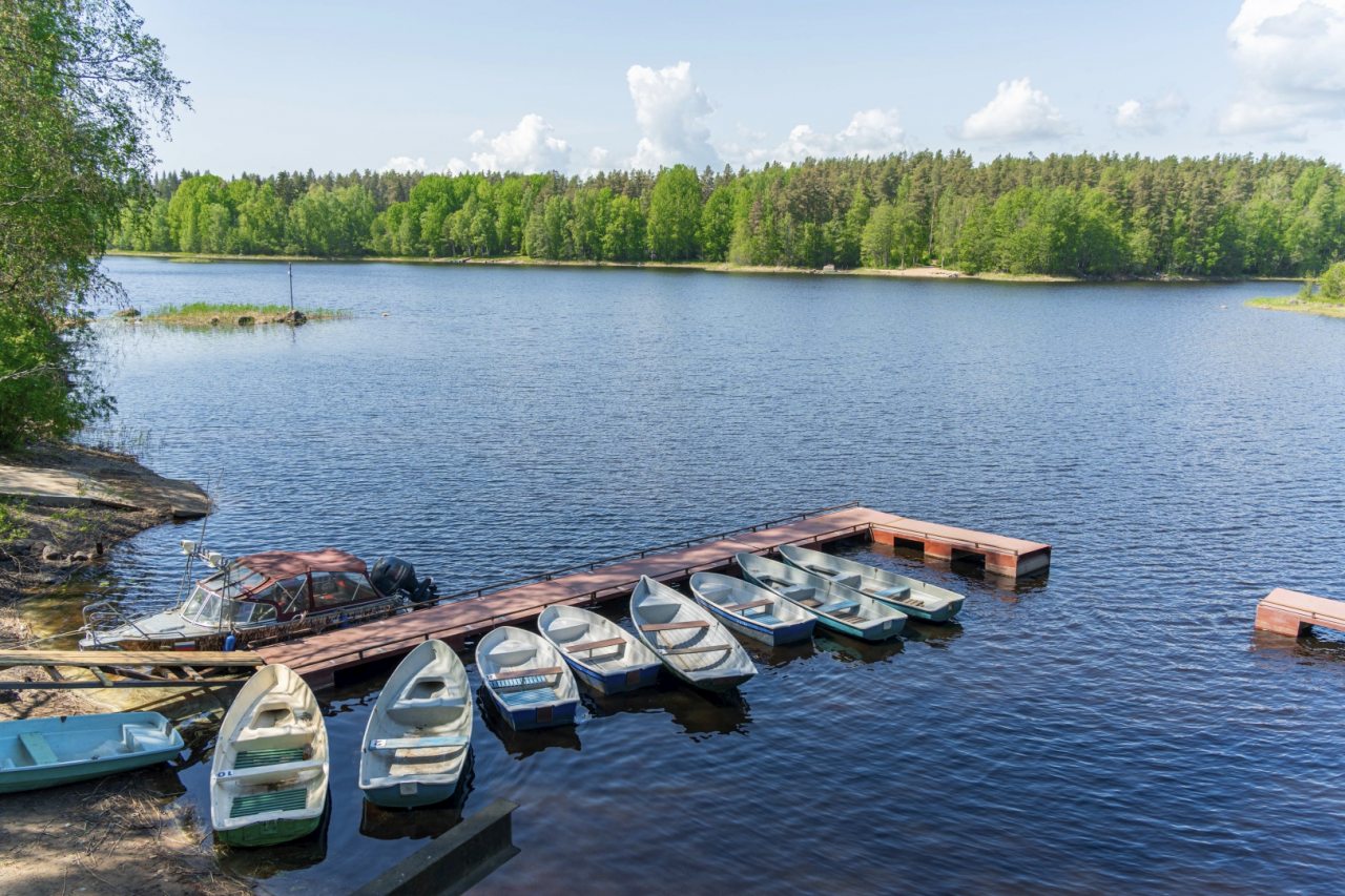 Апартаменты (С доп. местом), Загородный клуб Ромашка