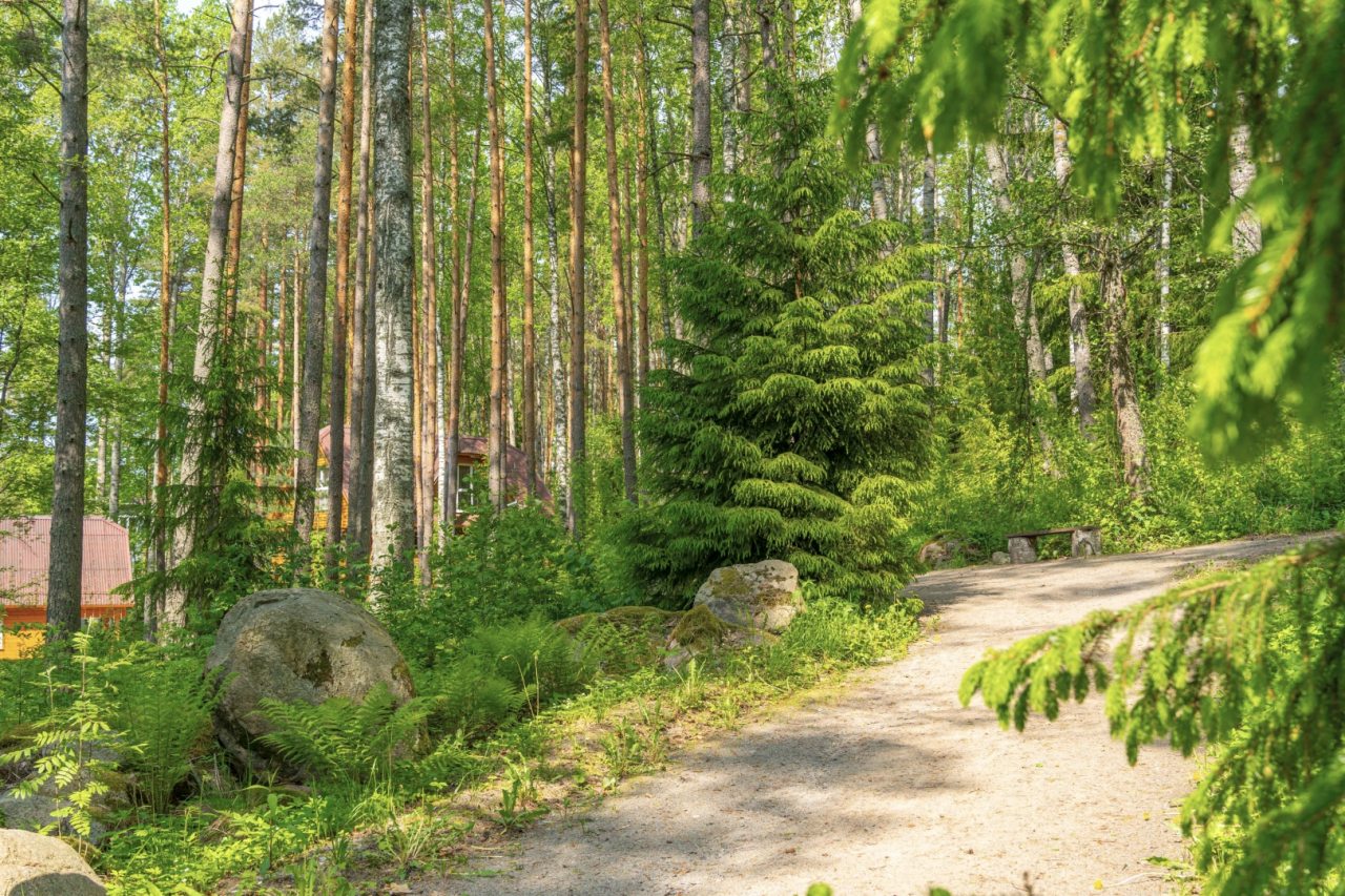 Апартаменты (С 1-й спальней и балконом 207/2-этаж), Загородный клуб Ромашка