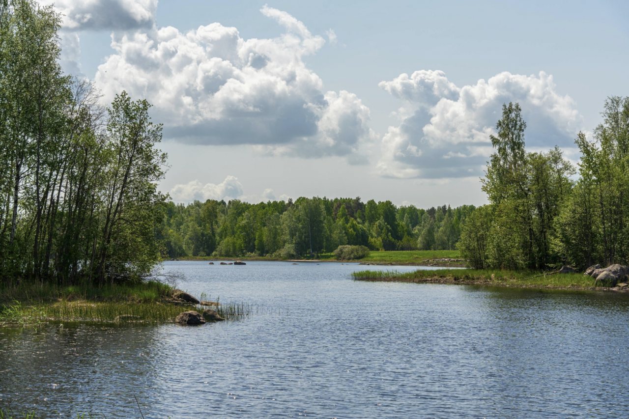 Апартаменты (С 1-й спальней и балконом 207/2-этаж), Загородный клуб Ромашка