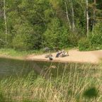 Коттедж (Малый  с сауной), Загородный клуб Ромашка