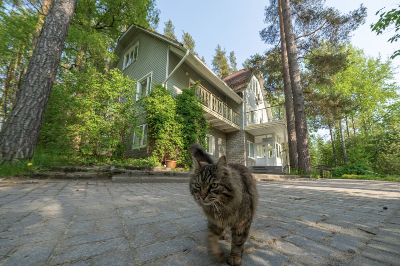 Коттедж (Малый  с сауной), Загородный клуб Ромашка