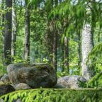 Вид на сад, Загородный клуб Ромашка