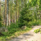 Вид на сад, Загородный клуб Ромашка