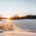 Апартаменты (Без доп. места), Загородный клуб Ромашка