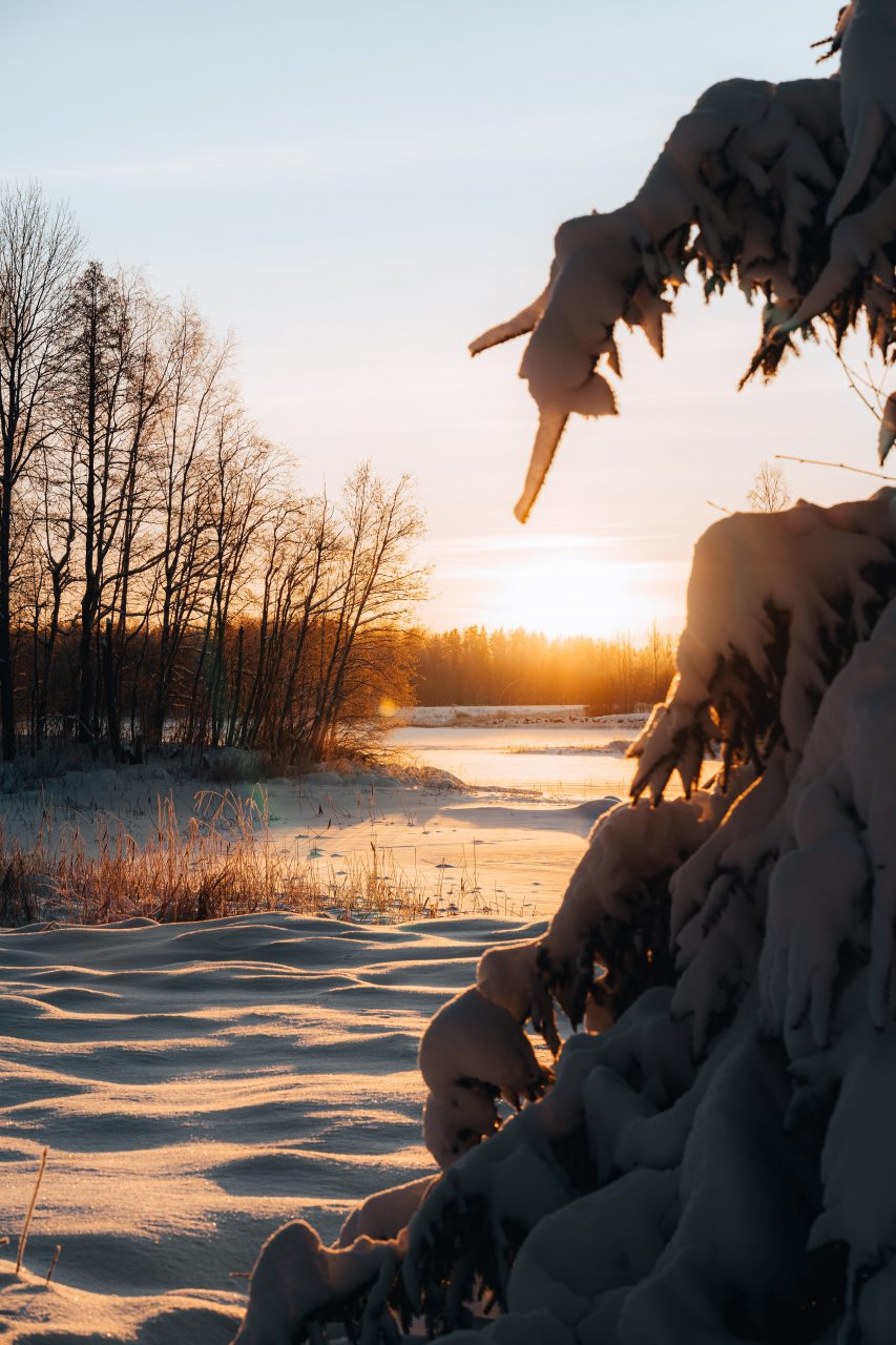 Апартаменты (С доп. местом), Загородный клуб Ромашка