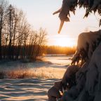 Апартаменты (С доп. местом), Загородный клуб Ромашка