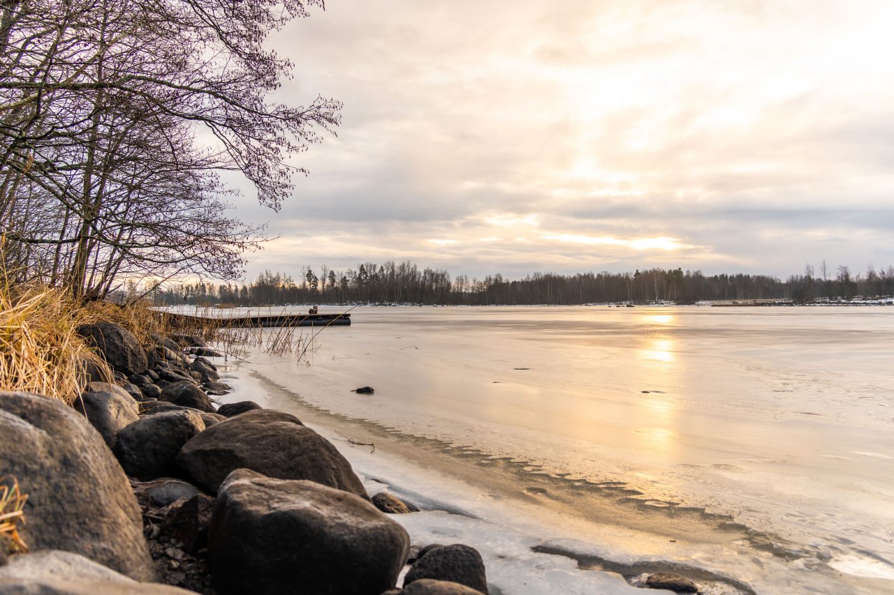 Апартаменты (С 1-й спальней стандарт 208/2-этаж), Загородный клуб Ромашка