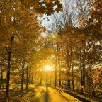 Коттедж (Малый  с сауной), Загородный клуб Ромашка