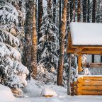 Коттедж (С панорамными окнами видом на лес 40м2), Загородный клуб Ромашка