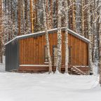 Дом (С видом на лес гостиная со спальней 50 м2), Загородный клуб Ромашка