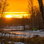 Дом (С видом на лес гостиная со спальней 50 м2), Загородный клуб Ромашка