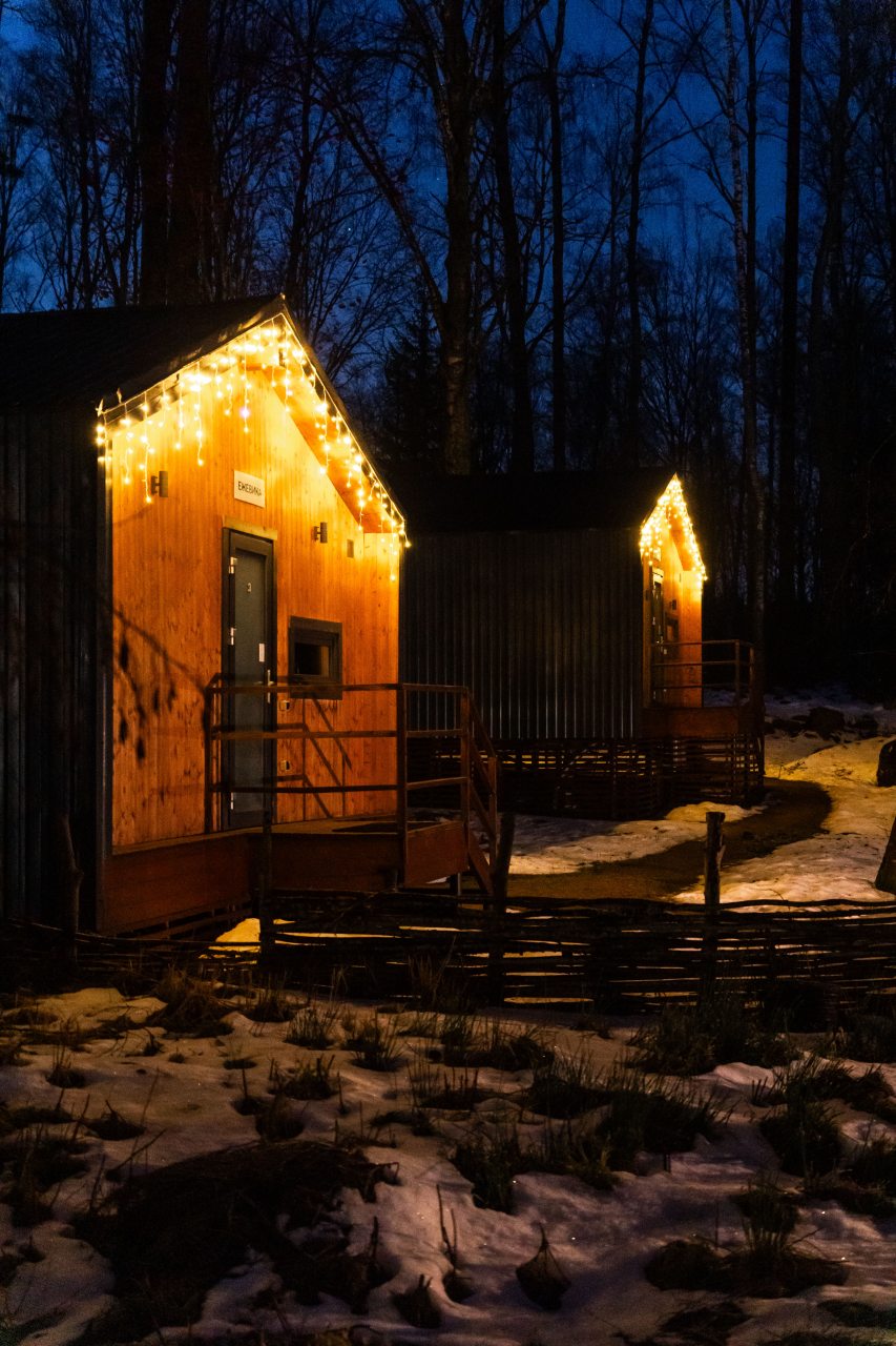 Дом (У воды  гостиная со спальней Черника/Ежевика 36 м2), Загородный клуб Ромашка