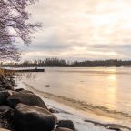 Дом (У воды  гостиная со спальней Черника/Ежевика 36 м2), Загородный клуб Ромашка