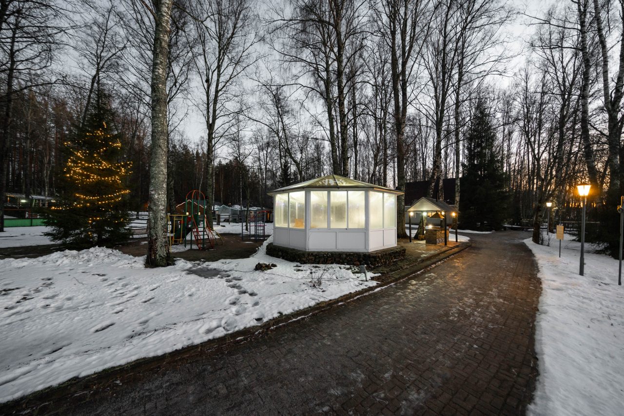 Дом (У воды  гостиная со спальней Черника/Ежевика 36 м2), Загородный клуб Ромашка