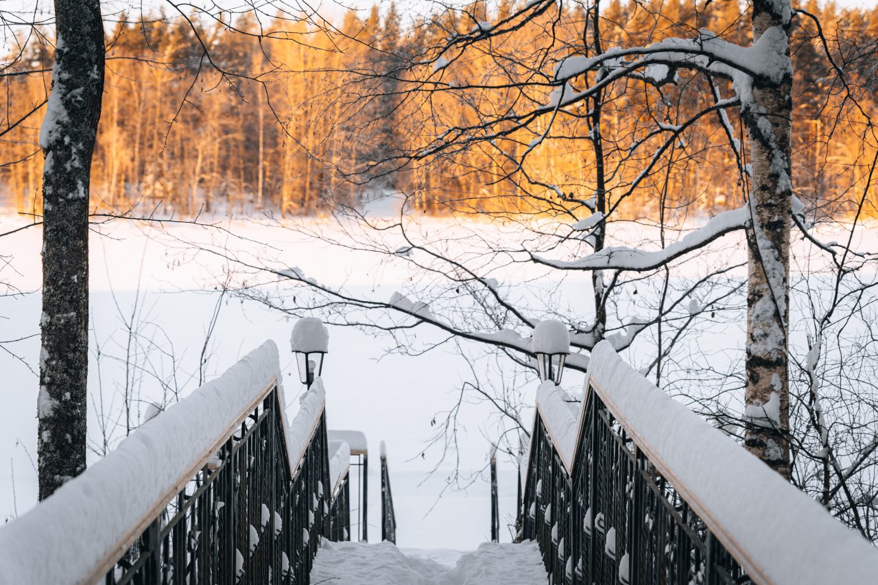 Дом (С видом на лес c 2-мя спальнями 54 м2), Загородный клуб Ромашка