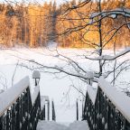 Дом (С видом на лес c 2-мя спальнями 54 м2), Загородный клуб Ромашка